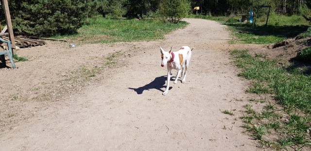 20190422_131829.jpg