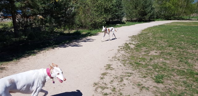 20190422_132357.jpg