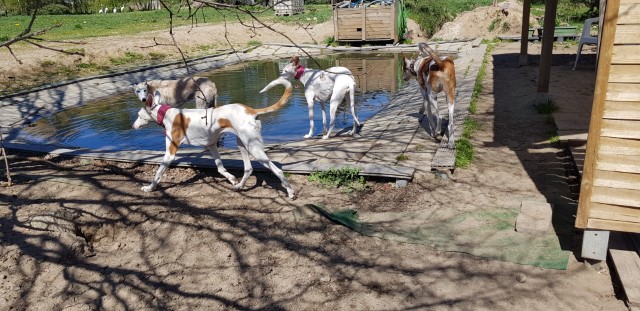 20190422_133824.jpg
