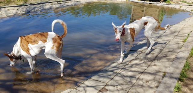 20190422_133846.jpg