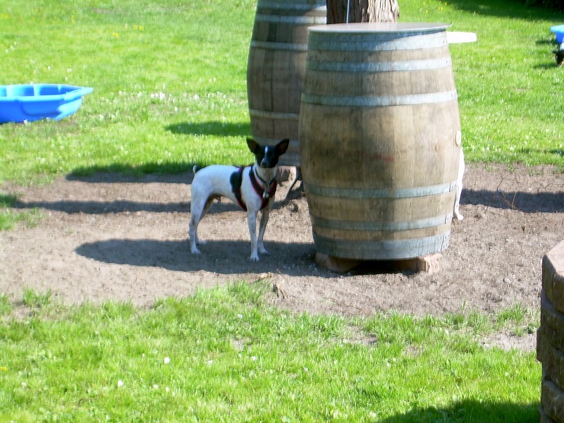 DSCN8236.JPG