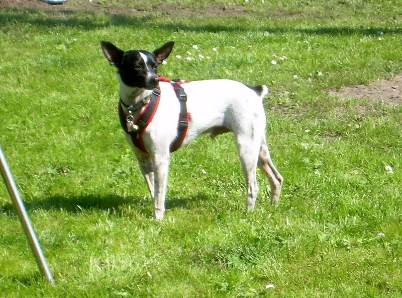 DSCN8227.JPG