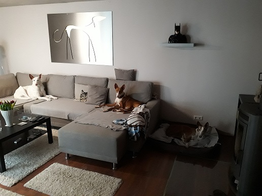 20190427_133511.jpg