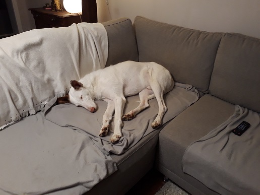 20190430_233553.jpg