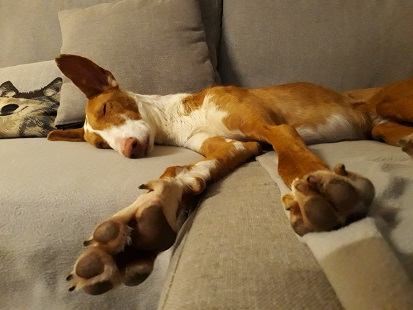 20190430_233908.jpg