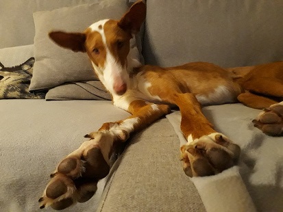 20190430_233853.jpg