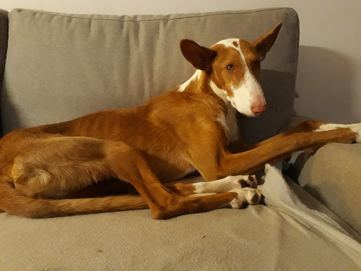 20190430_234041.jpg