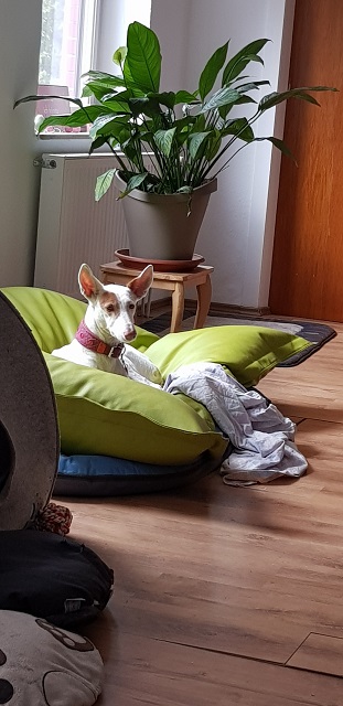 20190506_154503_resized.jpg