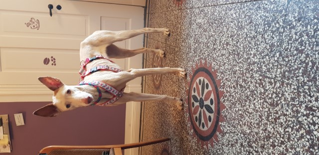 20190510_135902.jpg