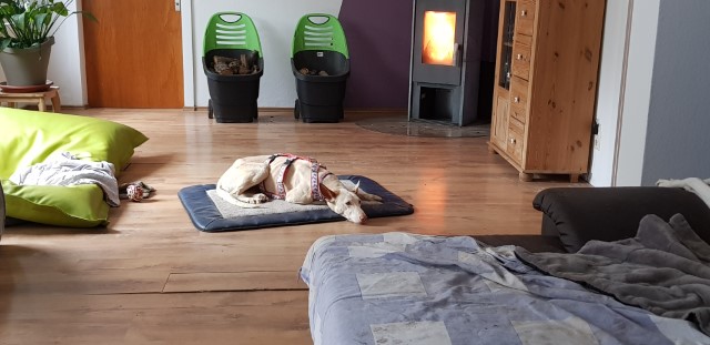 20190510_152414.jpg