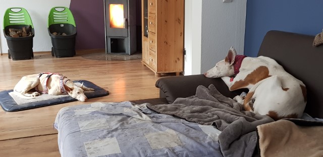 20190510_152417.jpg