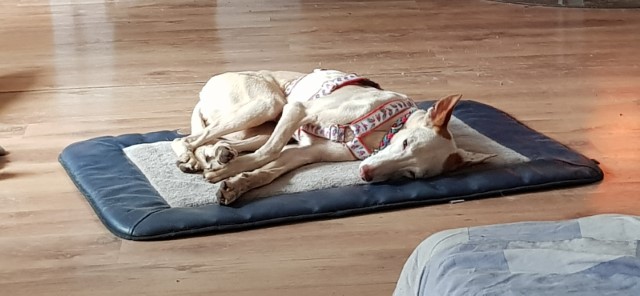 20190510_153844.jpg