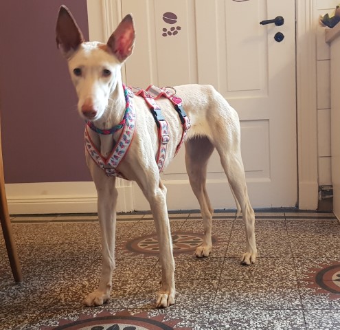 20190510_153948.jpg