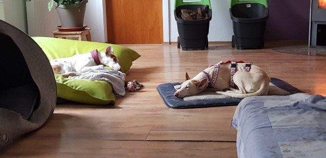 20190510_160852.jpg