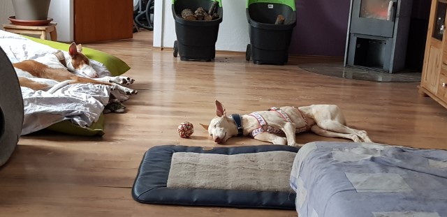 20190510_174143.jpg