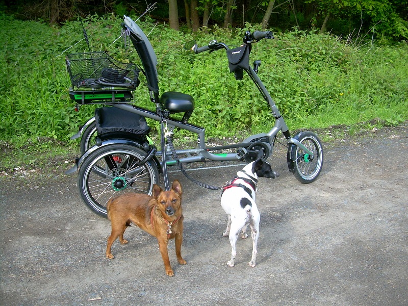 DSCN8253.JPG