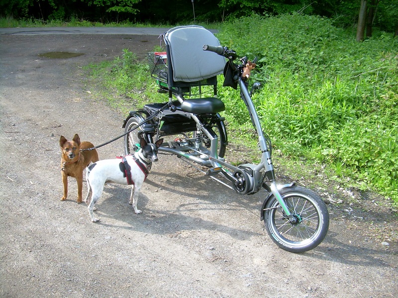 DSCN8254.JPG