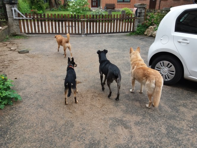 20190509_094635.jpg