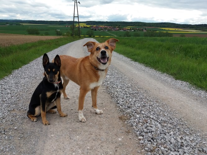 20190509_170237.jpg