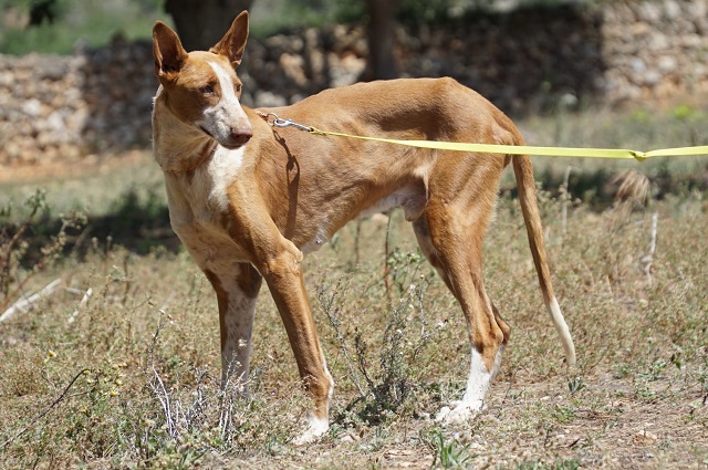 WhatsApp Image 2019-05-14 at 14.36.55.jpeg