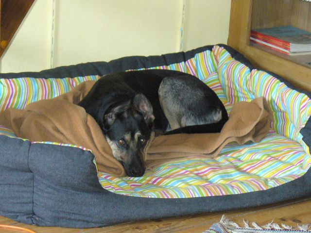 P1090054.JPG