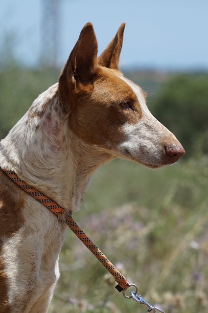 WhatsApp Image 2019-05-14 at 14.36.57(1).jpeg