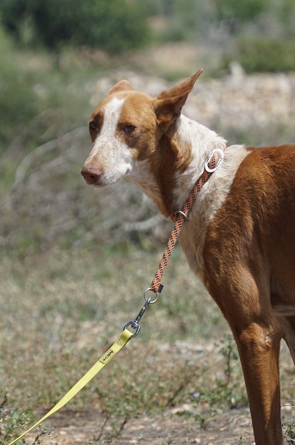 WhatsApp Image 2019-05-14 at 14.36.57(2).jpeg