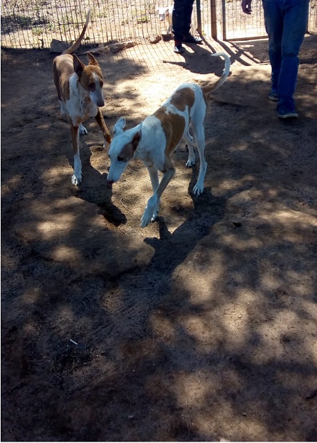 WhatsApp Image 2019-05-06 at 17.08.45.jpeg