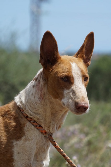 WhatsApp Image 2019-05-14 at 14.36.54.jpeg