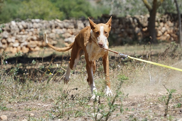 WhatsApp Image 2019-05-14 at 14.36.57.jpeg