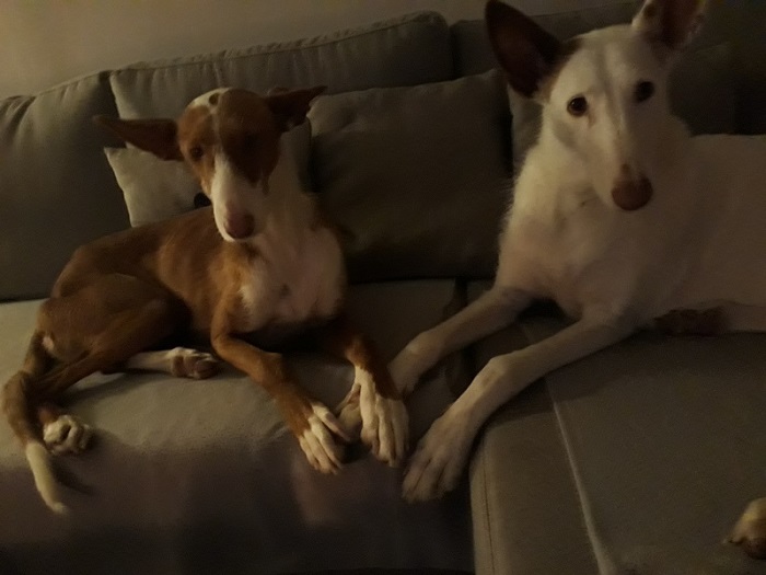 20190511_205732.jpg