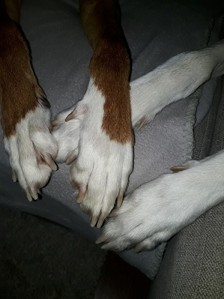 20190511_205708.jpg