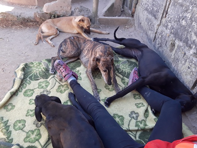 WhatsApp Image 2019-05-16 at 17.16.37.jpeg