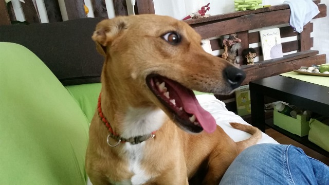 WhatsApp Image 2019-05-27 at 14.56.55.jpeg