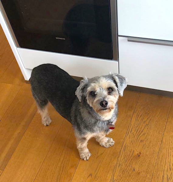 DAISY4.jpg