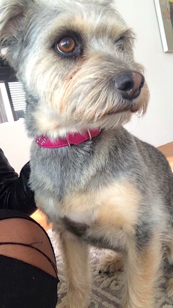 DAISY9.jpg