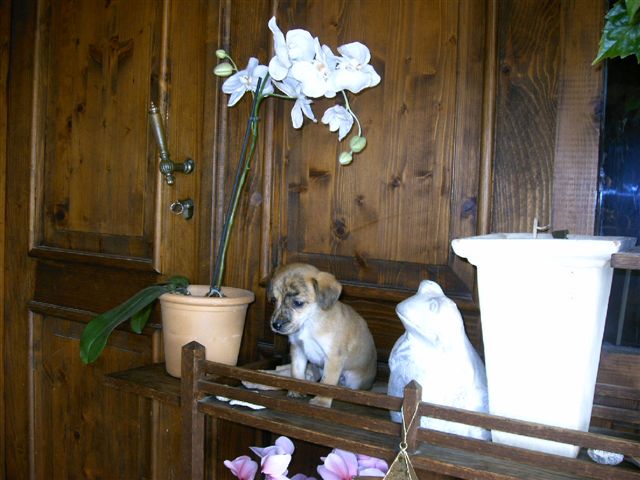 IMAG0035.JPG