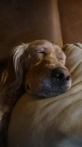 e0f07c61-3e0c-4834-bd08-ed8fe27511f8.jpg