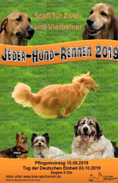 01 Hunderennen.jpg