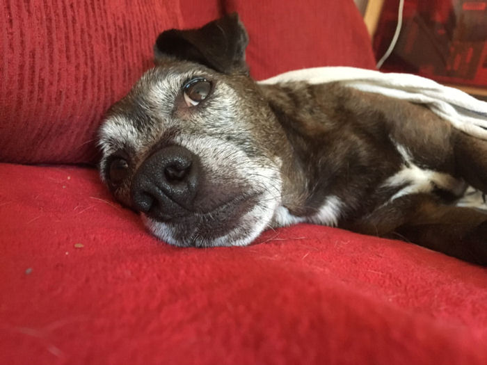 03 Puh ist das warm.jpg