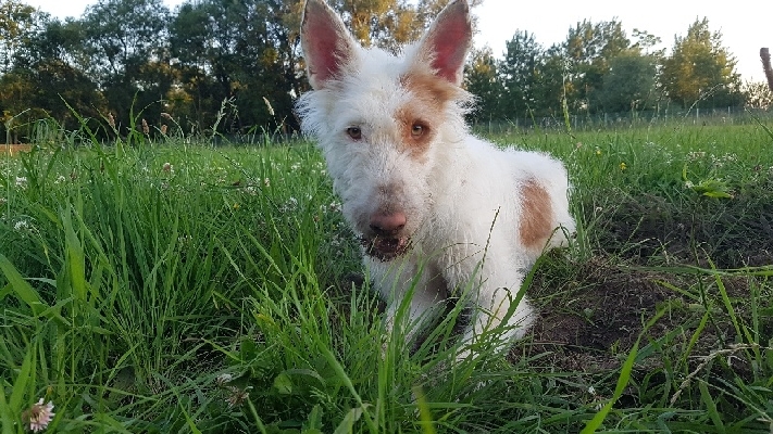 20190629_212912_resize_20_compress90_resize_97.jpg