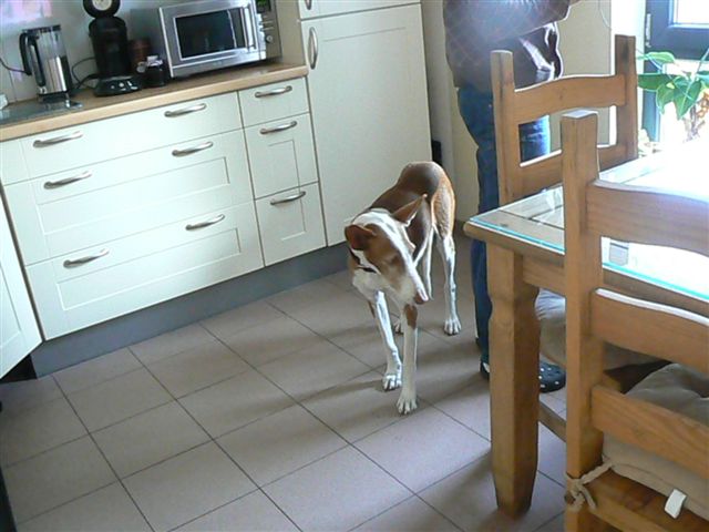 Rani klebt am Bein.JPG