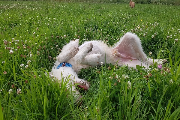 20190702_154809_resize_2.jpg