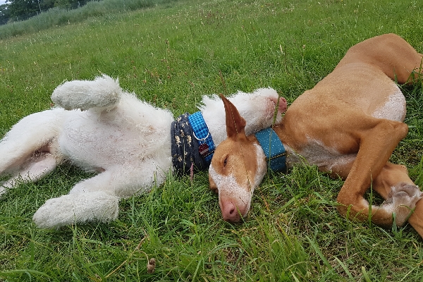 20190705_153925_resize_97.jpg