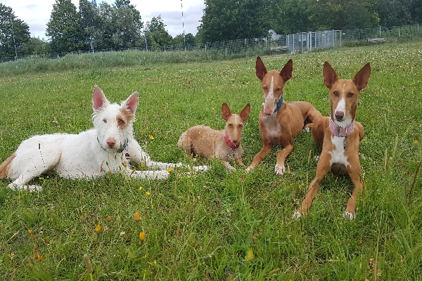 20190705_153112_resize_34.jpg