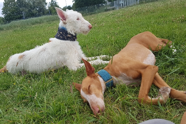 20190705_154011_resize_67.jpg