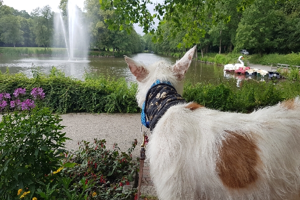 20190705_121107_resize_3.jpg