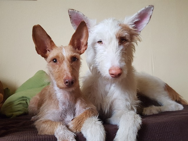 20190710_191313.jpg