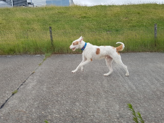 20190715_184150.jpg