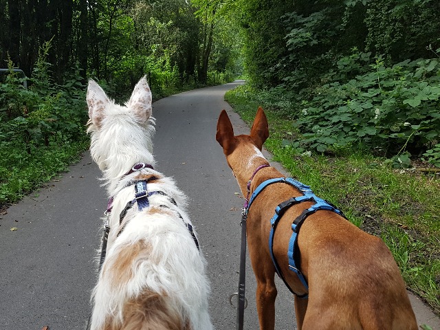 20190719_201037.jpg